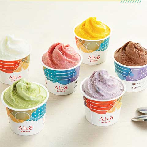 Alvo ジェラート 12個セット 