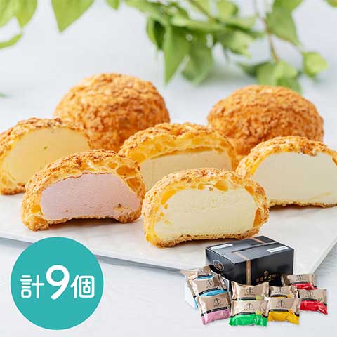 銀座プレミアムシューアイス (計9個) 