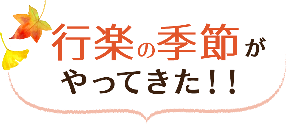 行楽・食欲の秋を楽しもう