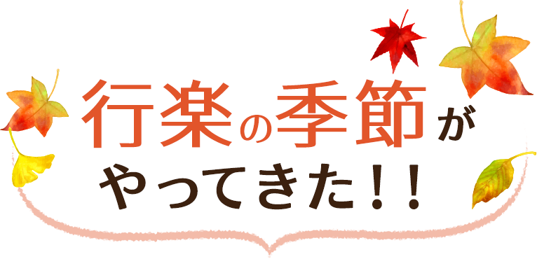 行楽・食欲の秋を楽しもう