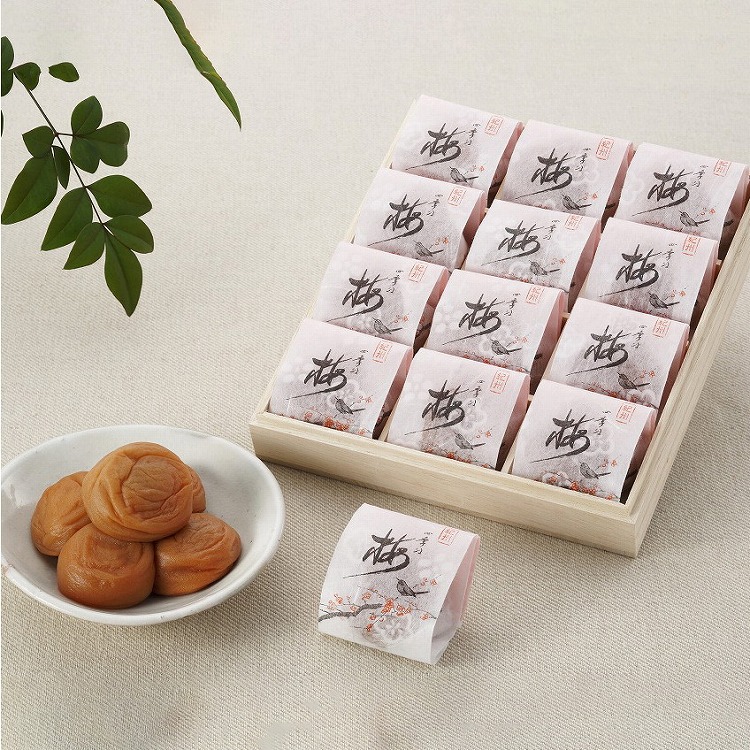 和歌山 紀州南高梅 梅満開 うす塩味