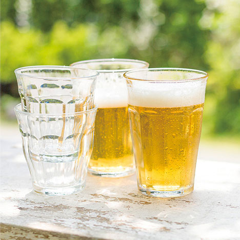 和歌山 梅搾り (4倍希釈) 2本セット 490ml×2 化粧箱入り