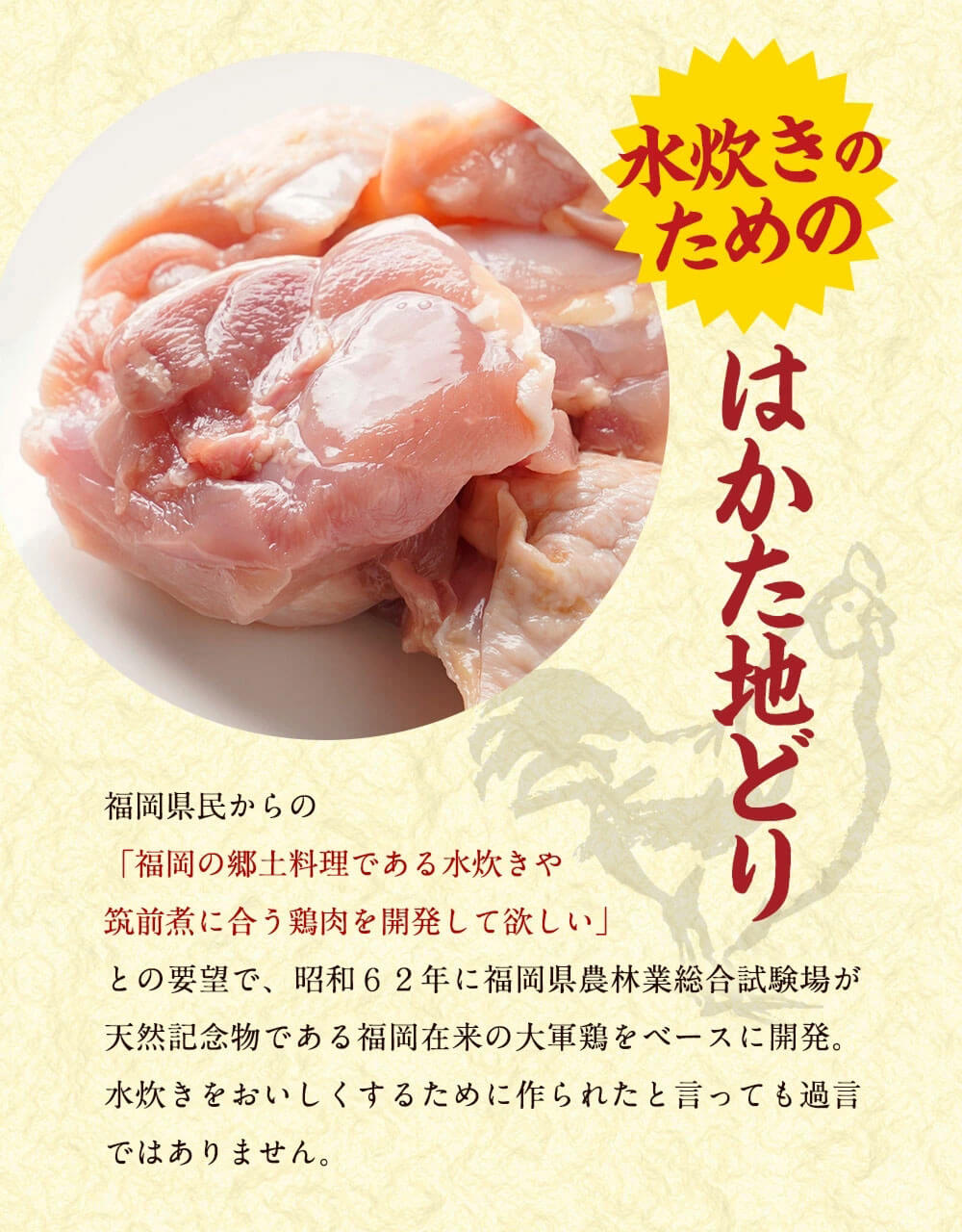 美人水炊きセット 2〜3人前