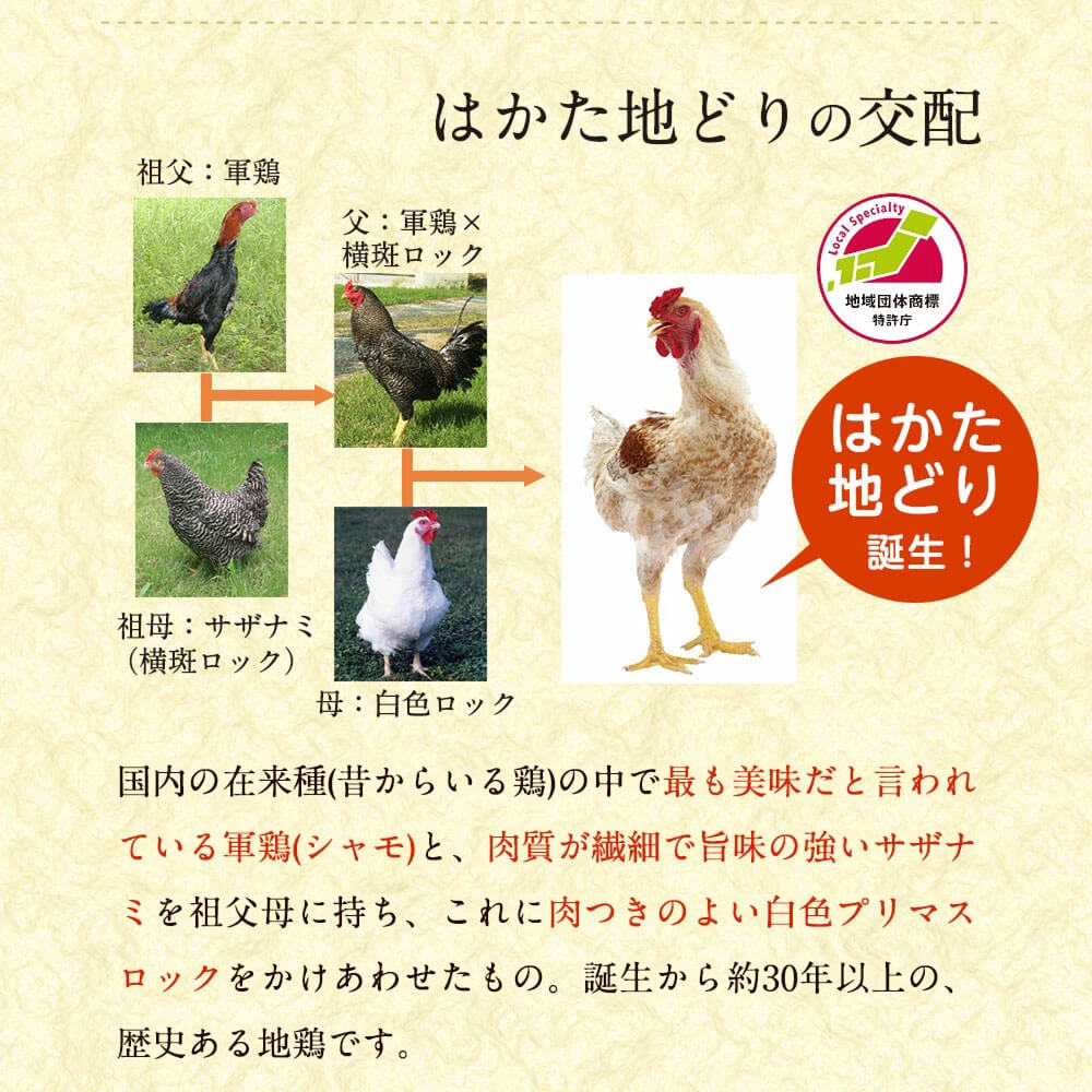 美人水炊きセット 2〜3人前