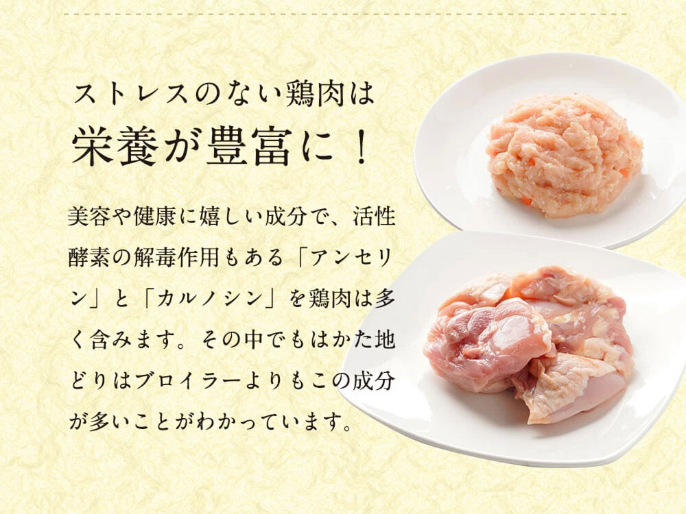 美人水炊きセット 2〜3人前