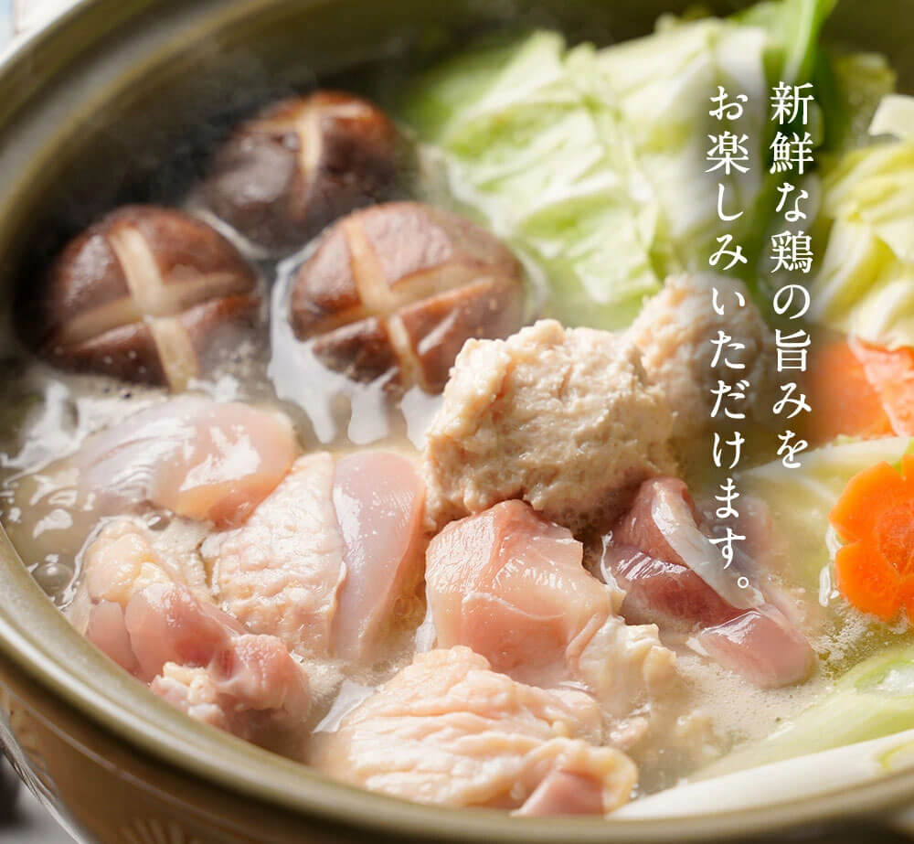 美人水炊きセット 2〜3人前