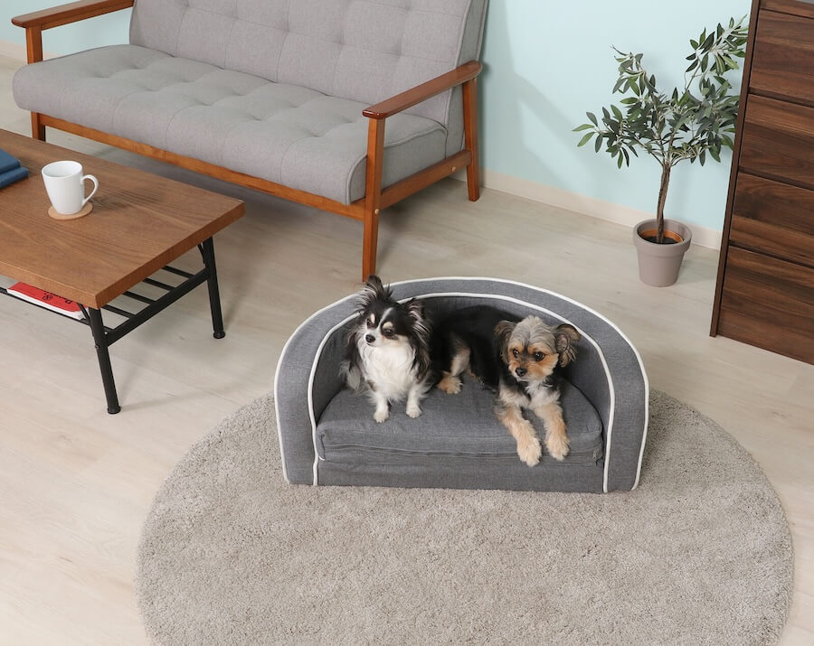 ペット用ソファ