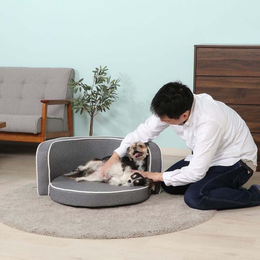 ペット用ソファ