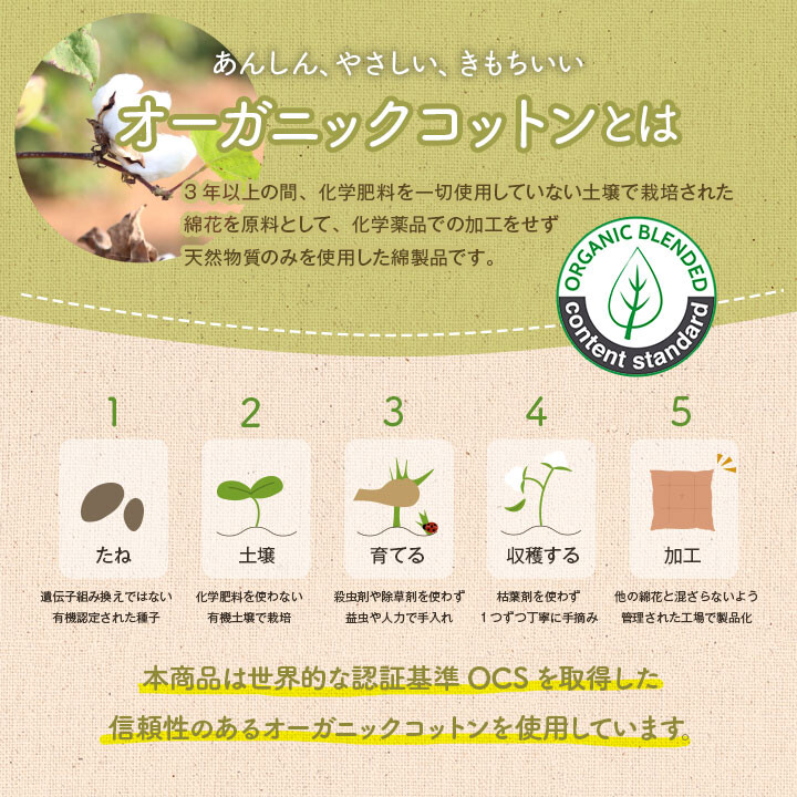クッション よりかかる フロー よりかかり