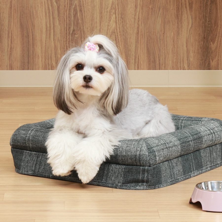 ペットハウス　ルーフベッド付き