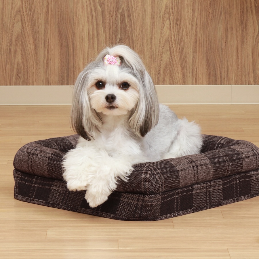 ペットハウス　ルーフベッド付き