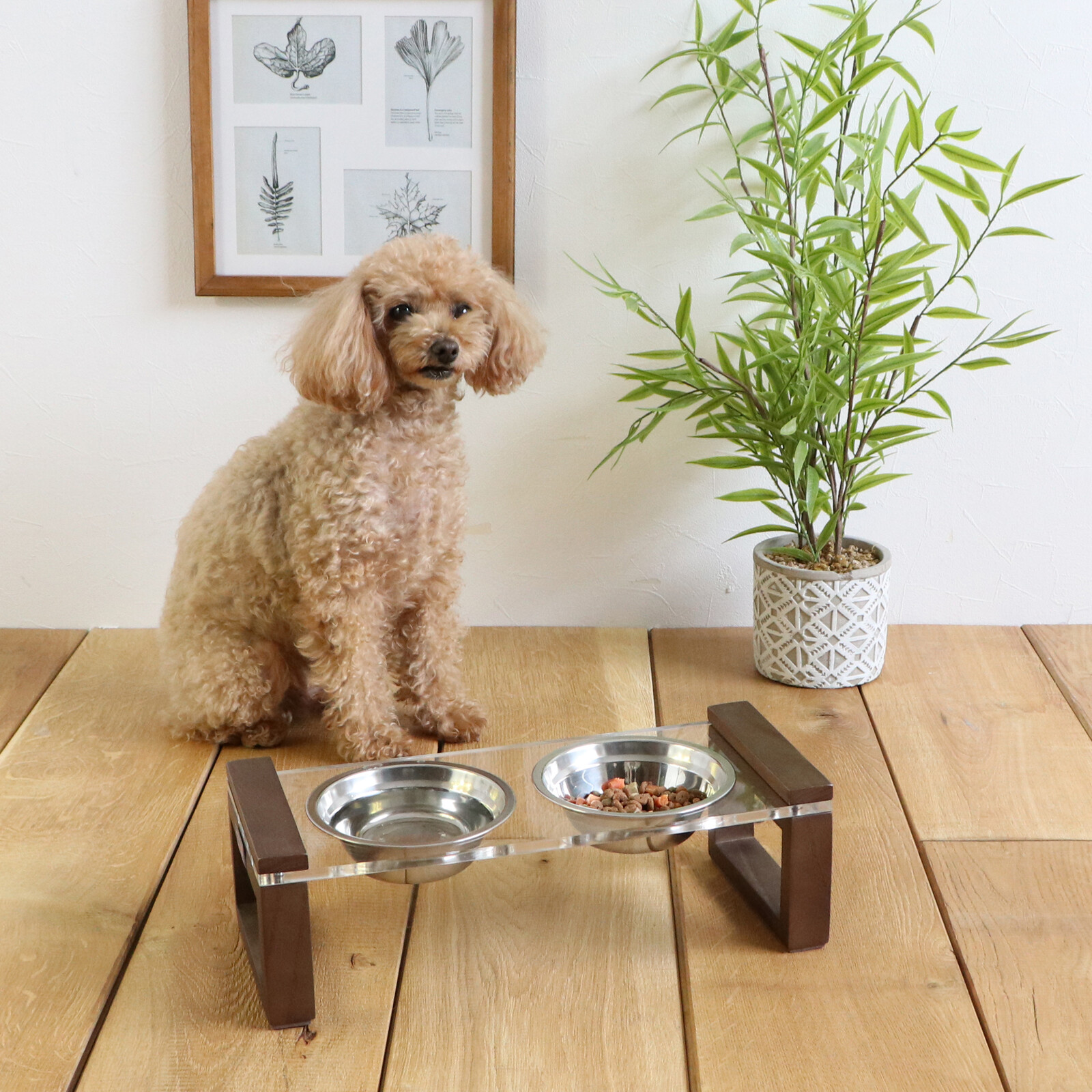 ペット用エサ皿