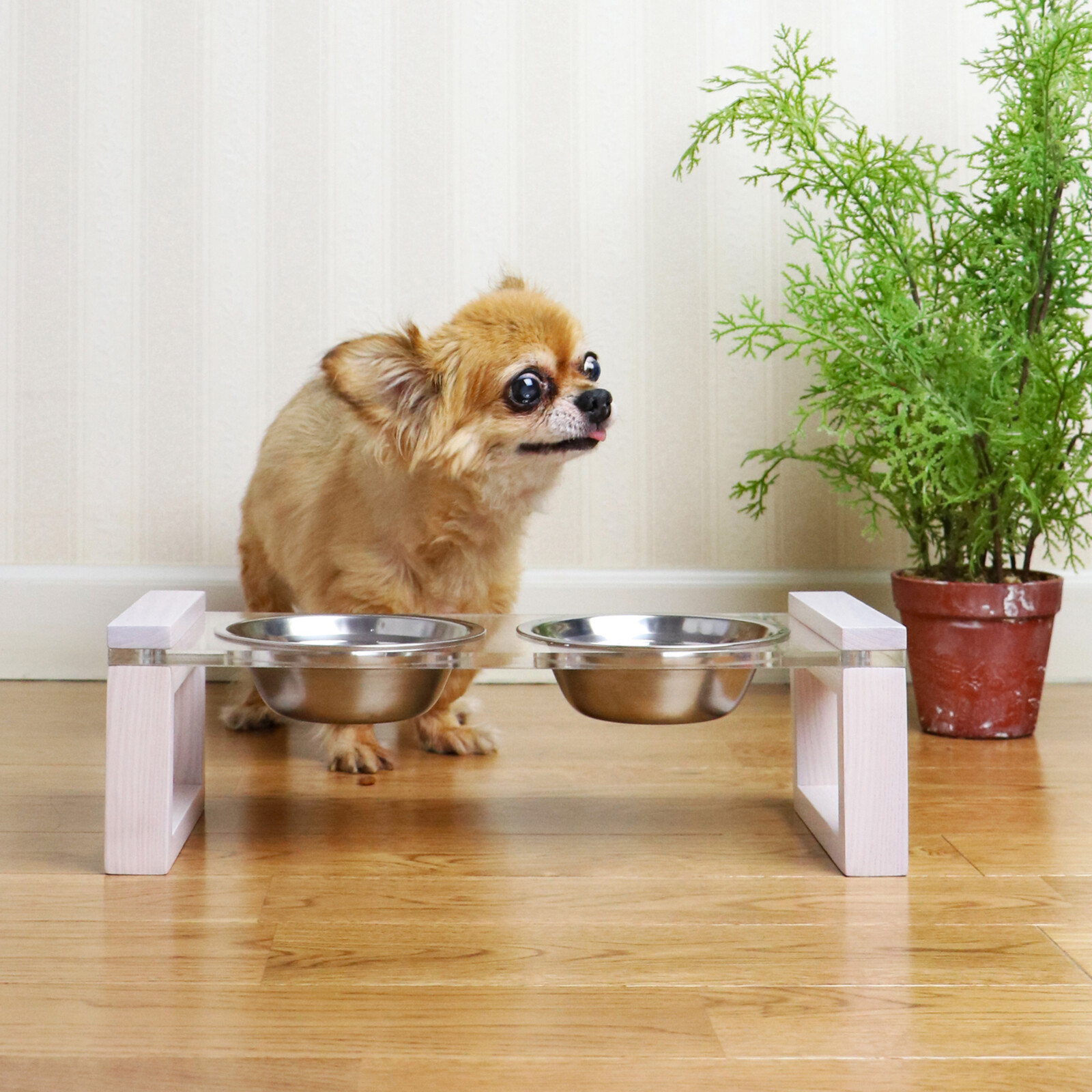 ペット用エサ皿