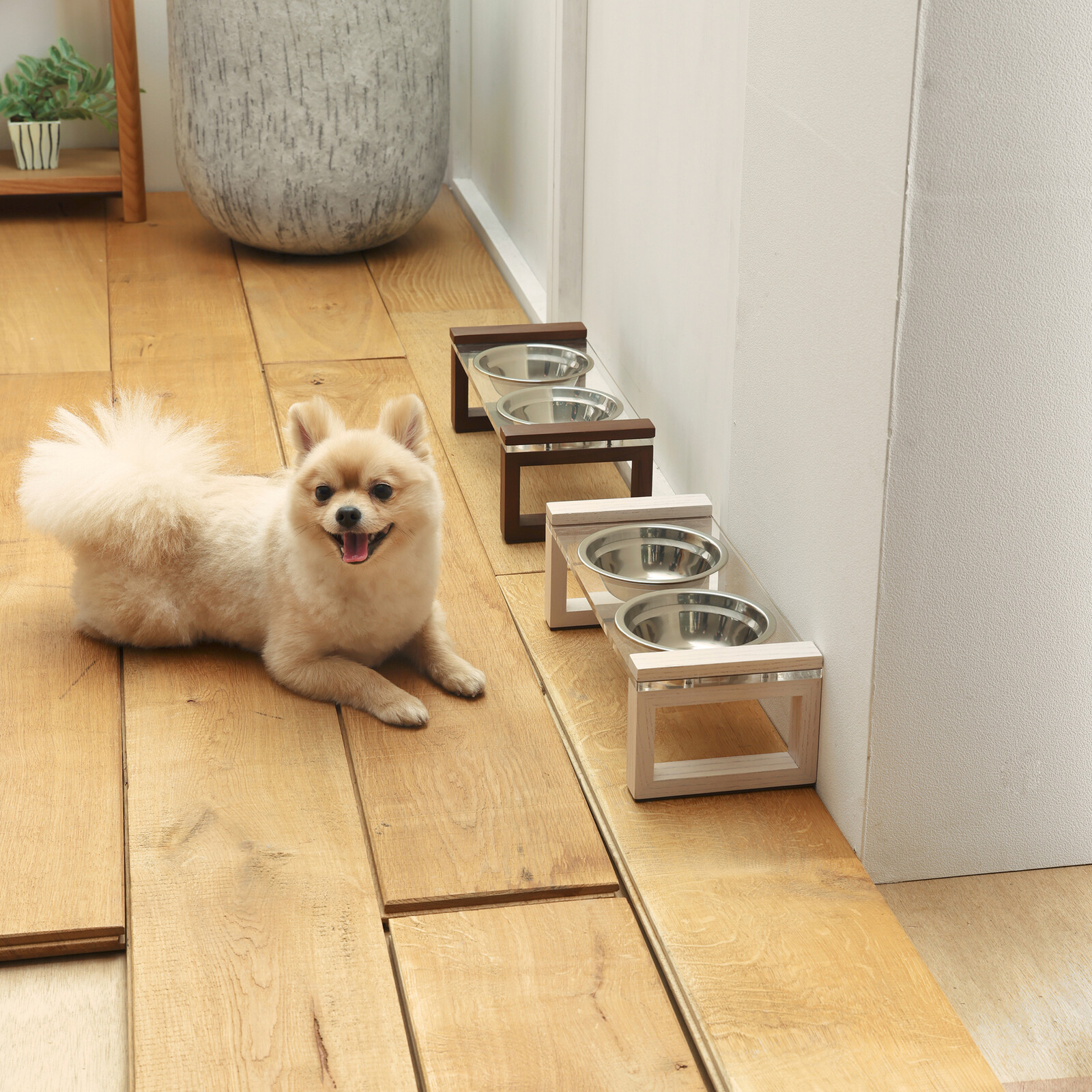 ペット用エサ皿