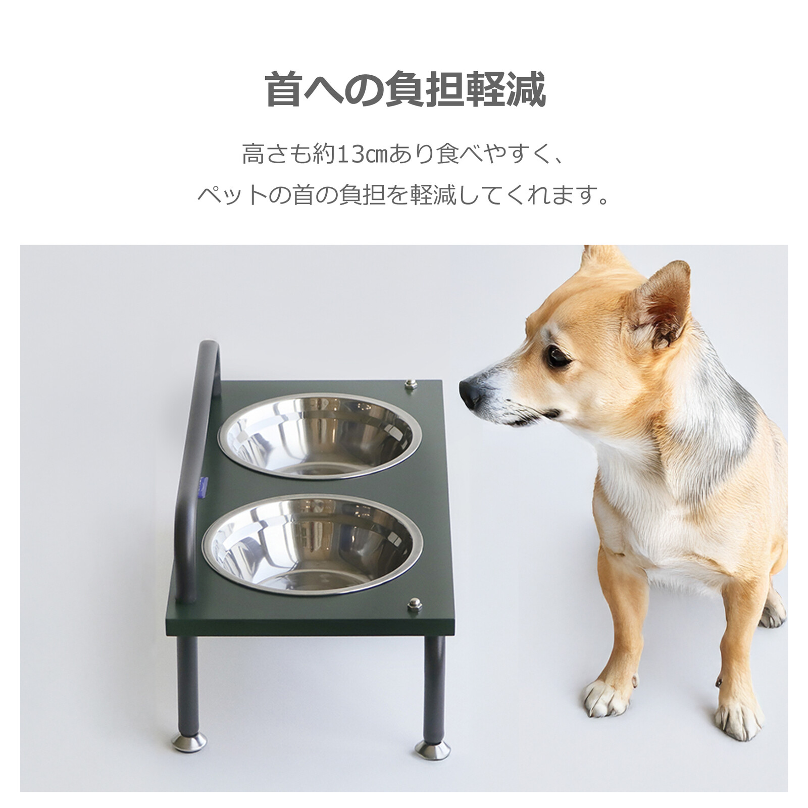 ペット用エサ皿 GIANNA (ジェンナ)