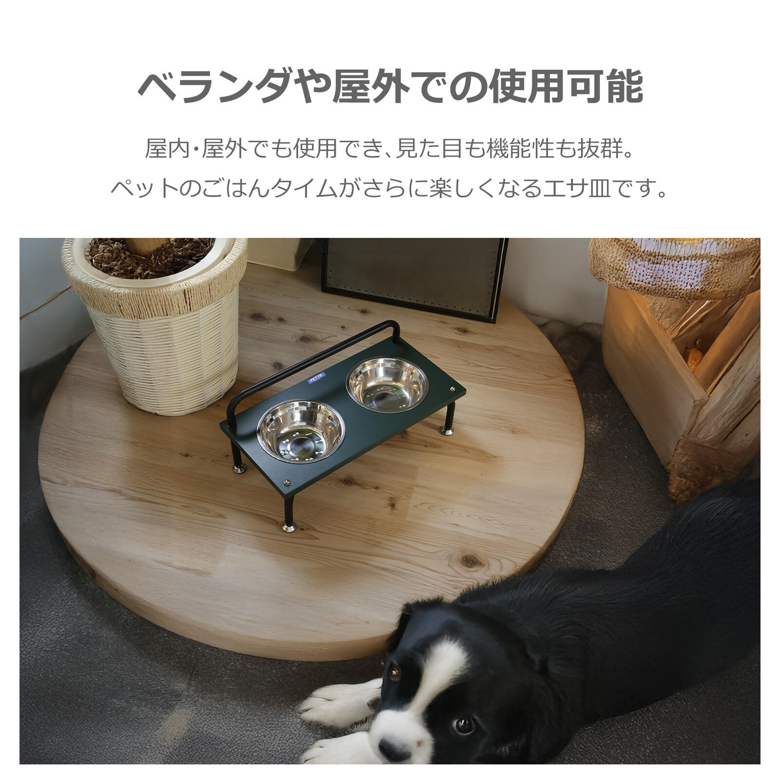 ペット用エサ皿 GIANNA (ジェンナ)