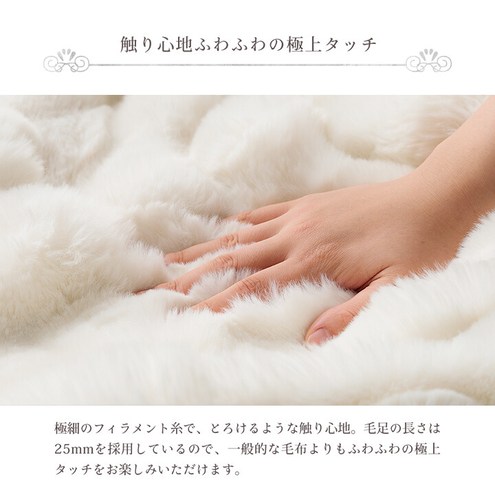 ラピアスプレミアム 2枚合わせ毛布