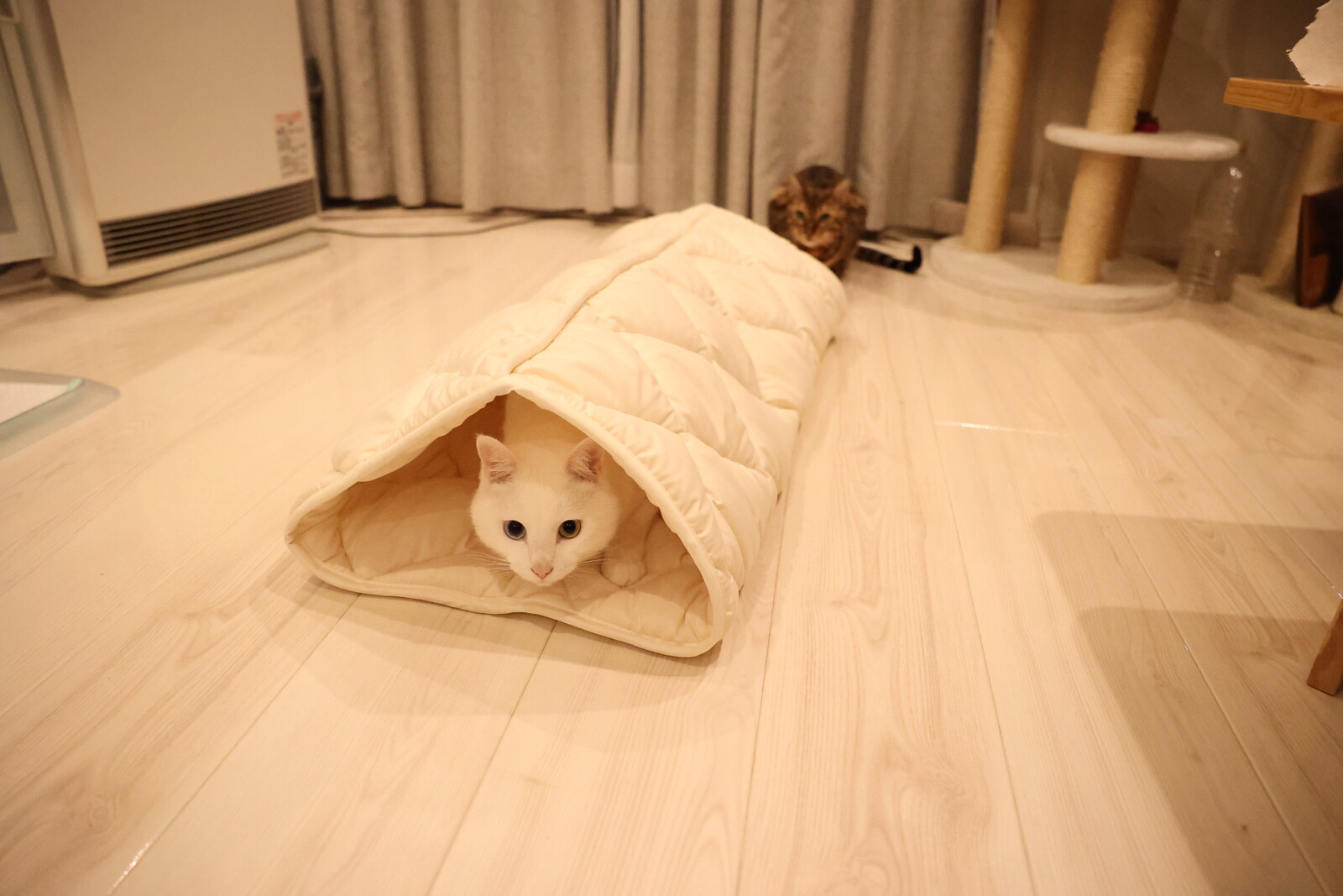 ふとんやの作ったペット用布団