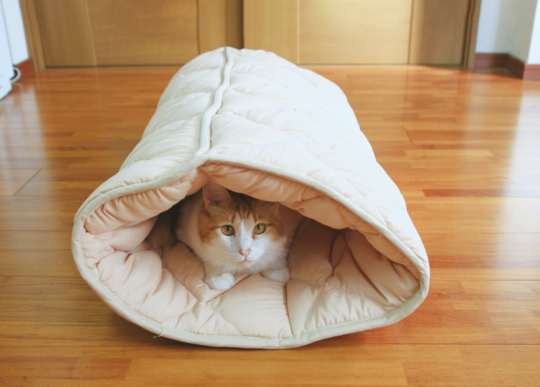 ふとんやの作ったペット用布団