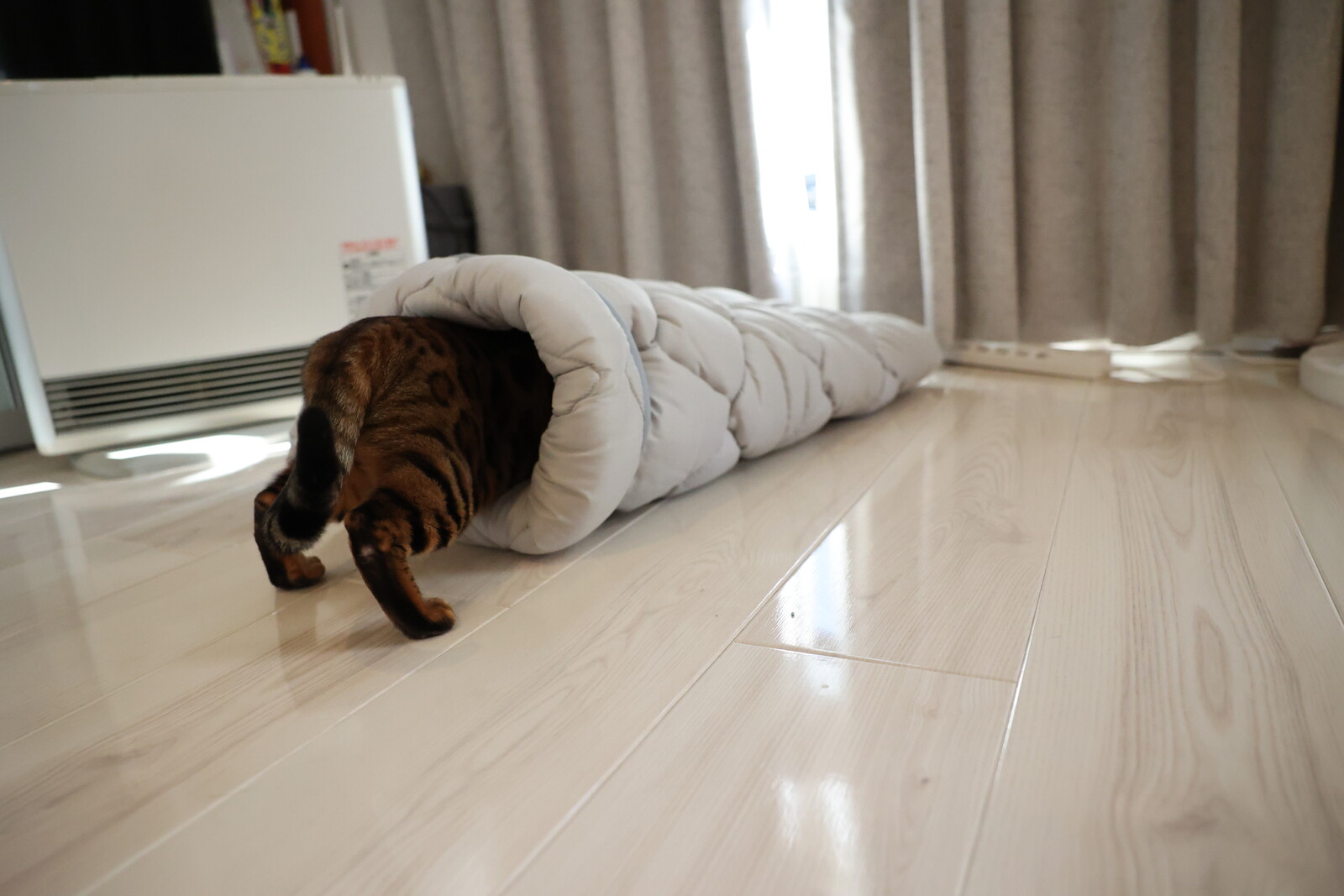 ふとんやの作ったペット用布団