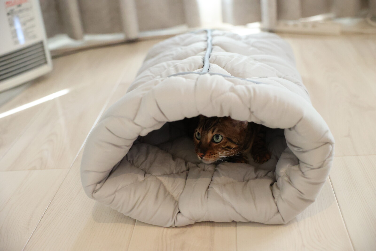 ふとんやの作ったペット用布団