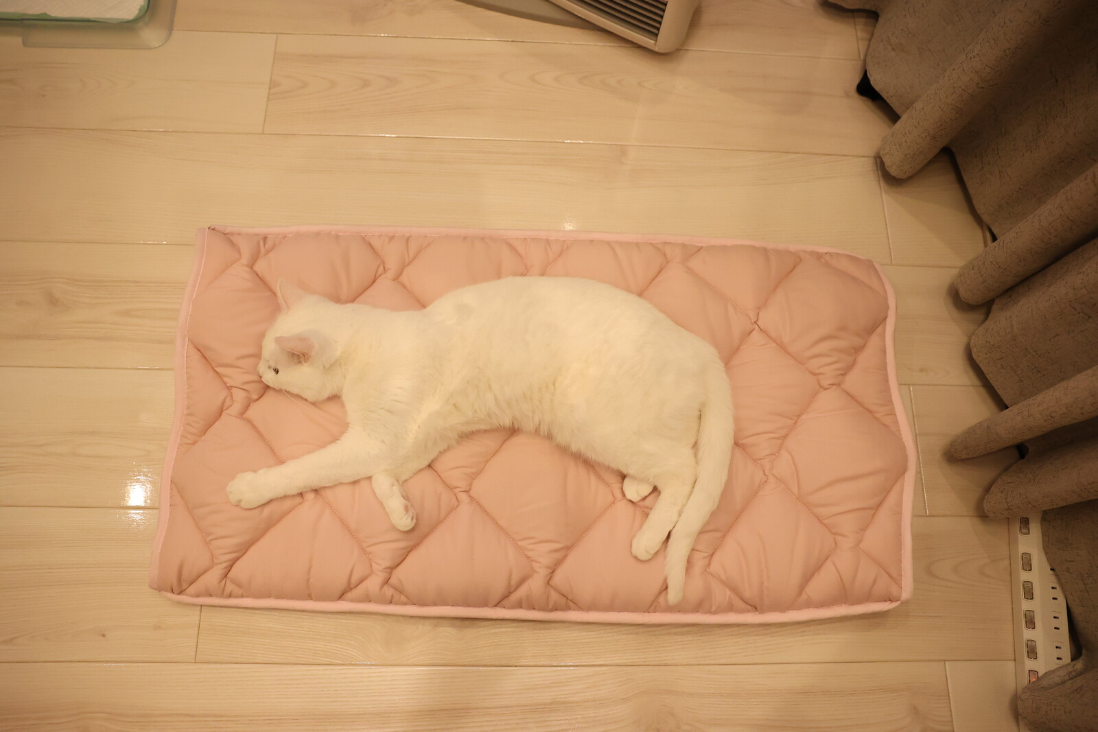 ふとんやの作ったペット用布団