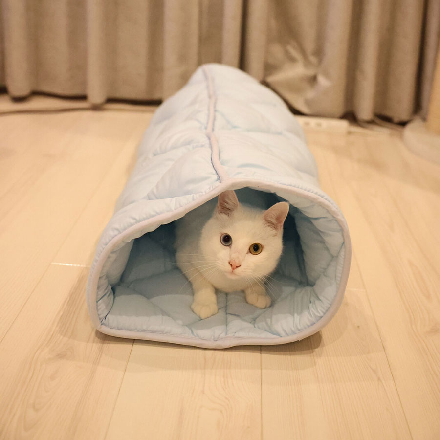 ふとんやの作ったペット用布団