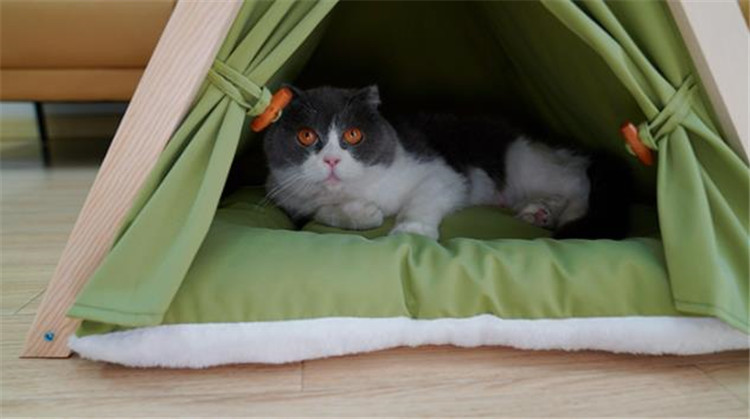 テント型ペットハウス