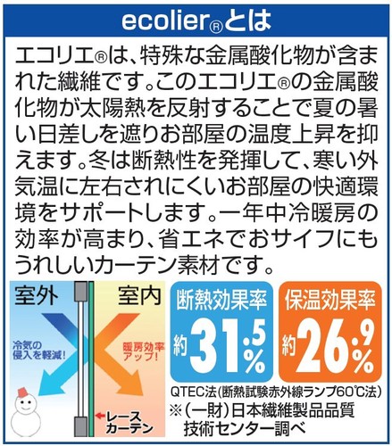 テイジン 1年中快適省エネレースカーテン