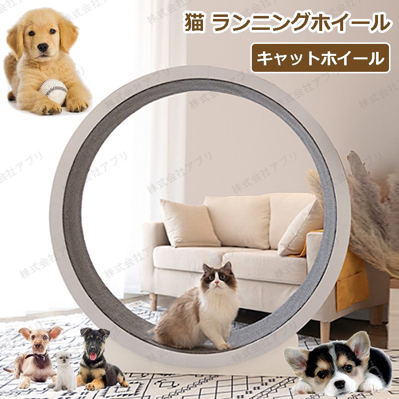 猫のトレッドミル