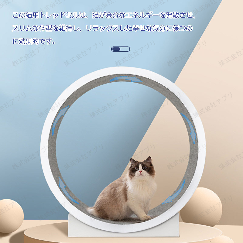 猫のトレッドミル