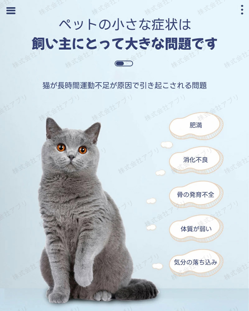 猫のトレッドミル
