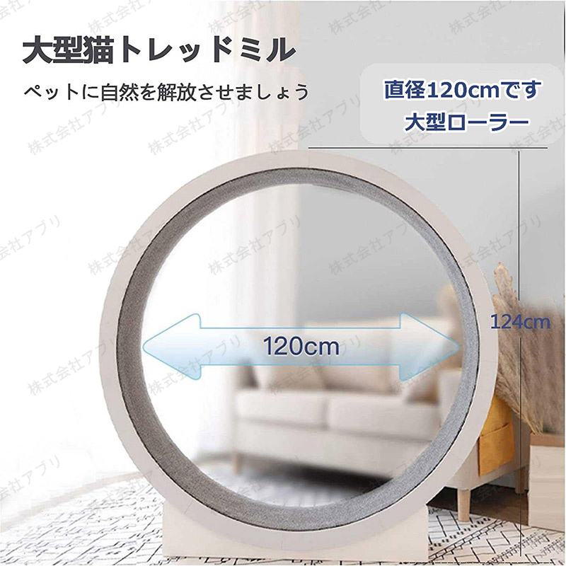 猫のトレッドミル