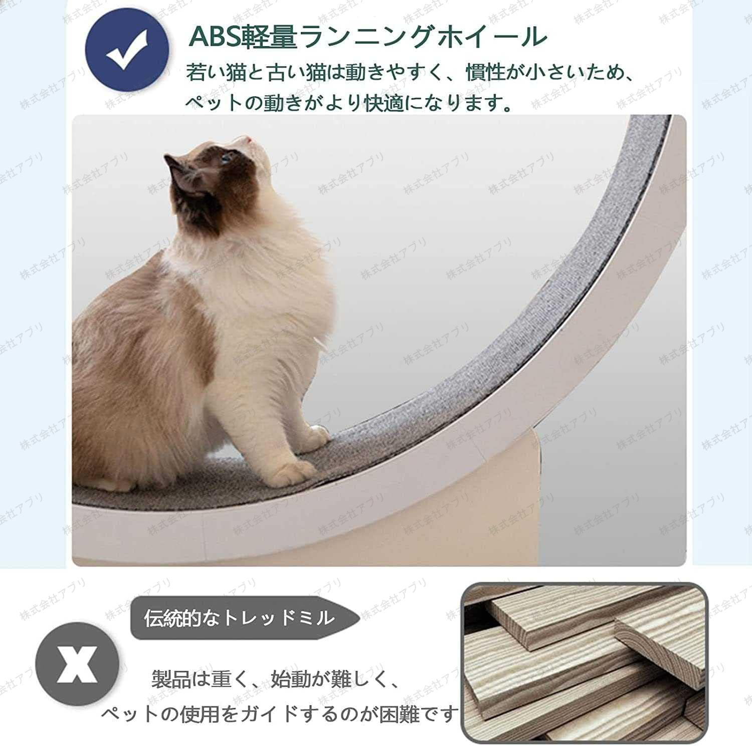 猫のトレッドミル