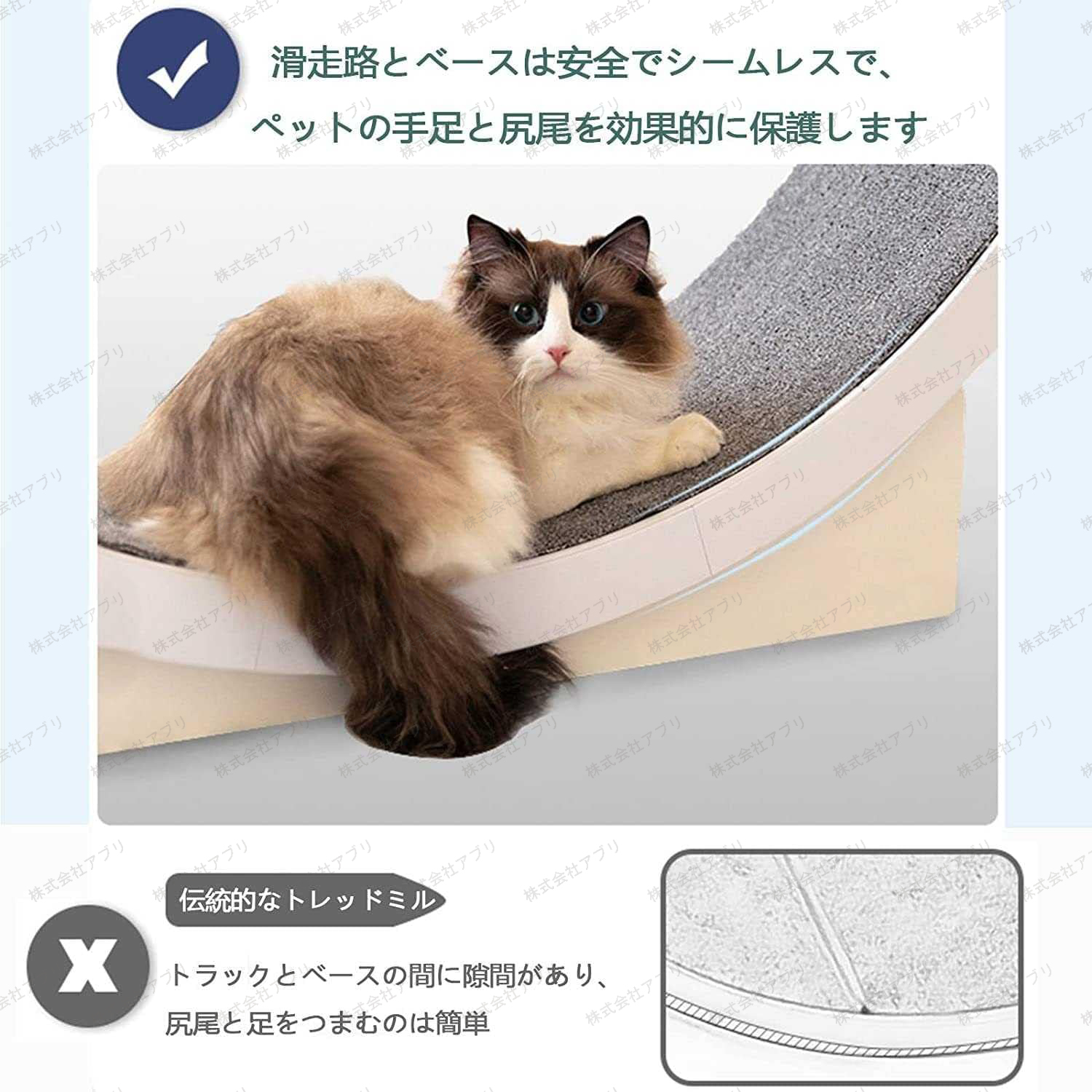 猫のトレッドミル