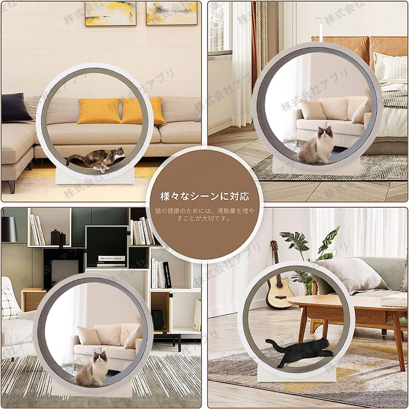 猫のトレッドミル