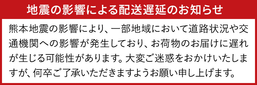 地震の影響での遅延