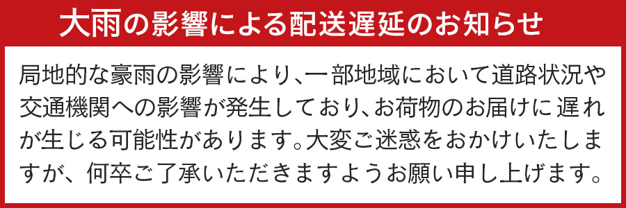 大雨の影響による遅延