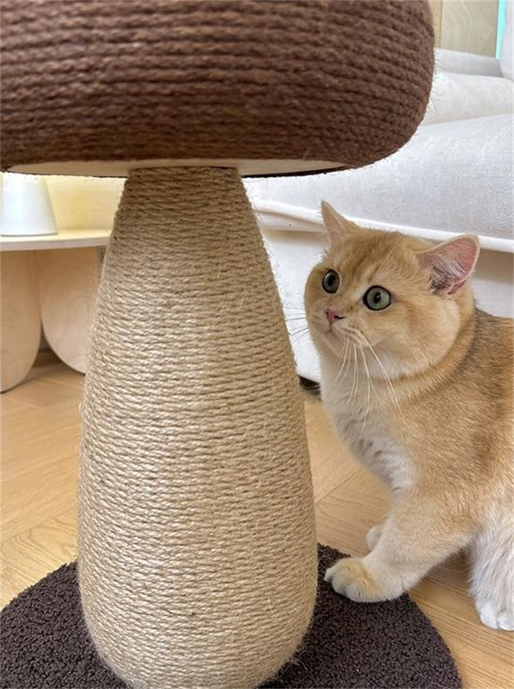キノコ型 ネコの爪