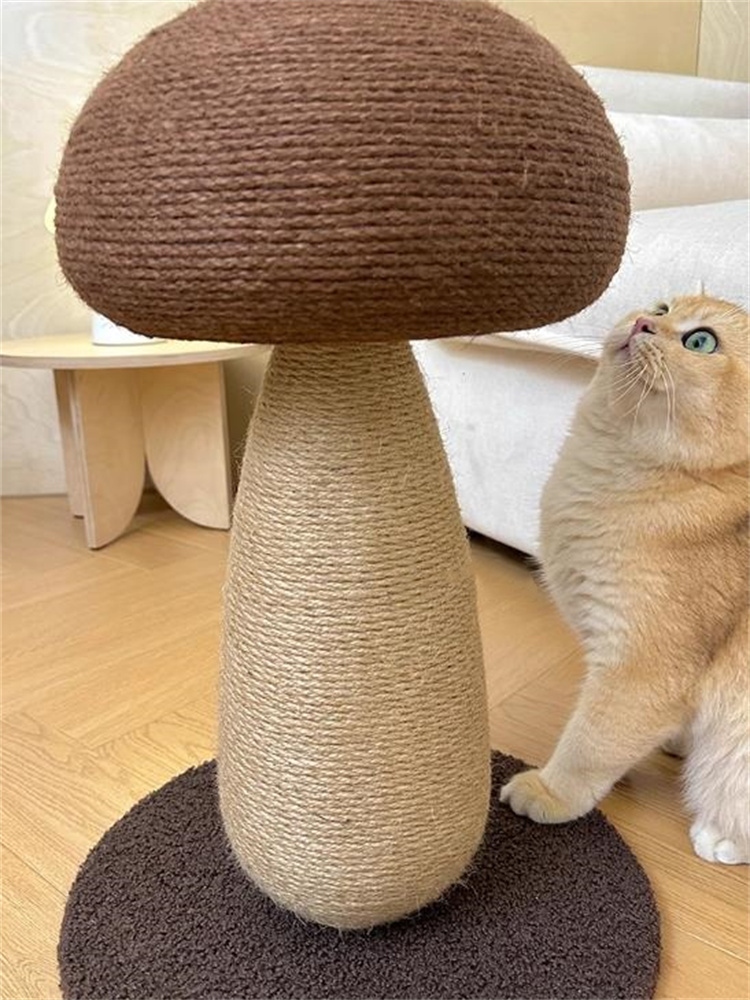 キノコ型 ネコの爪