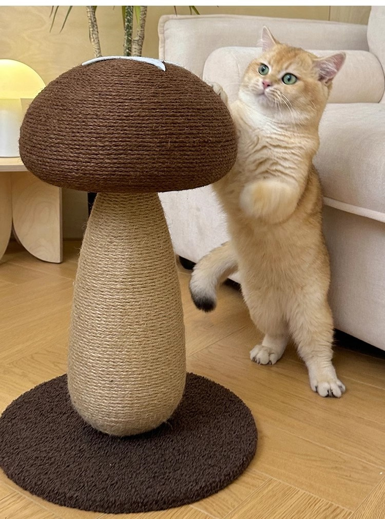 キノコ型 ネコの爪