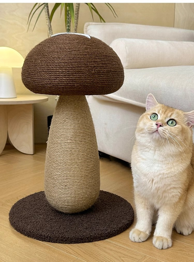 キノコ型 ネコの爪