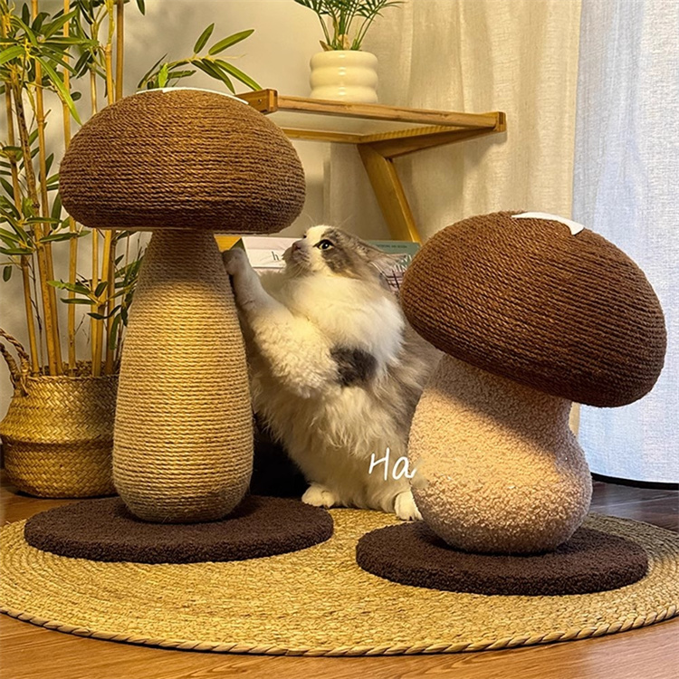 キノコ型 ネコの爪