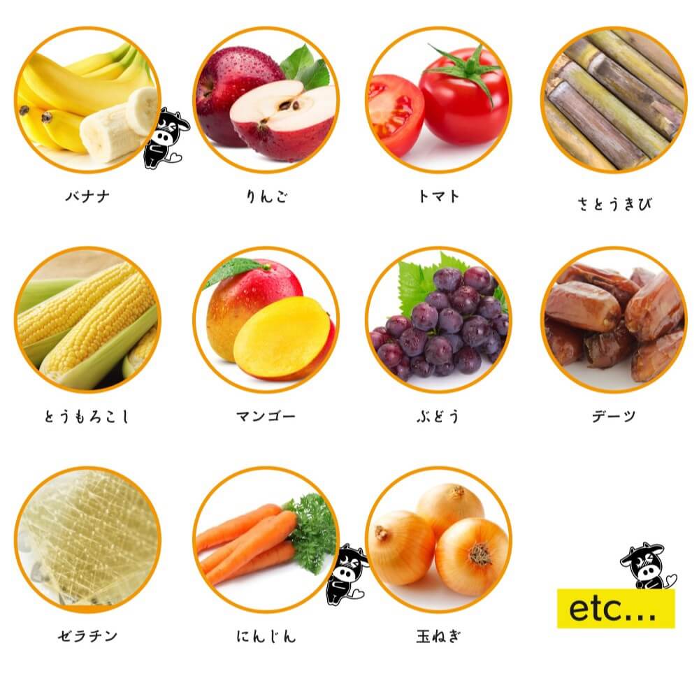 レトルトカレー!その名も【カレーです。】