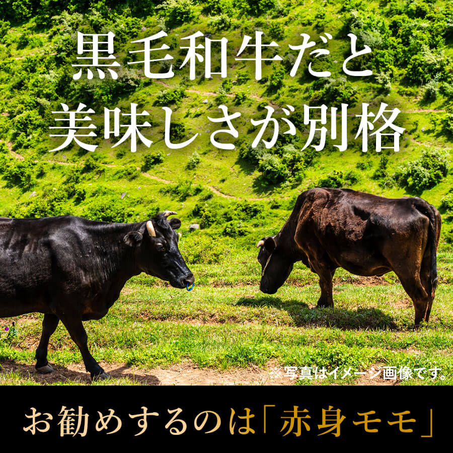 九州産黒毛和牛 赤身モモ焼肉用