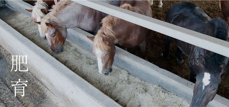 ふじ馬刺し 満喫セット