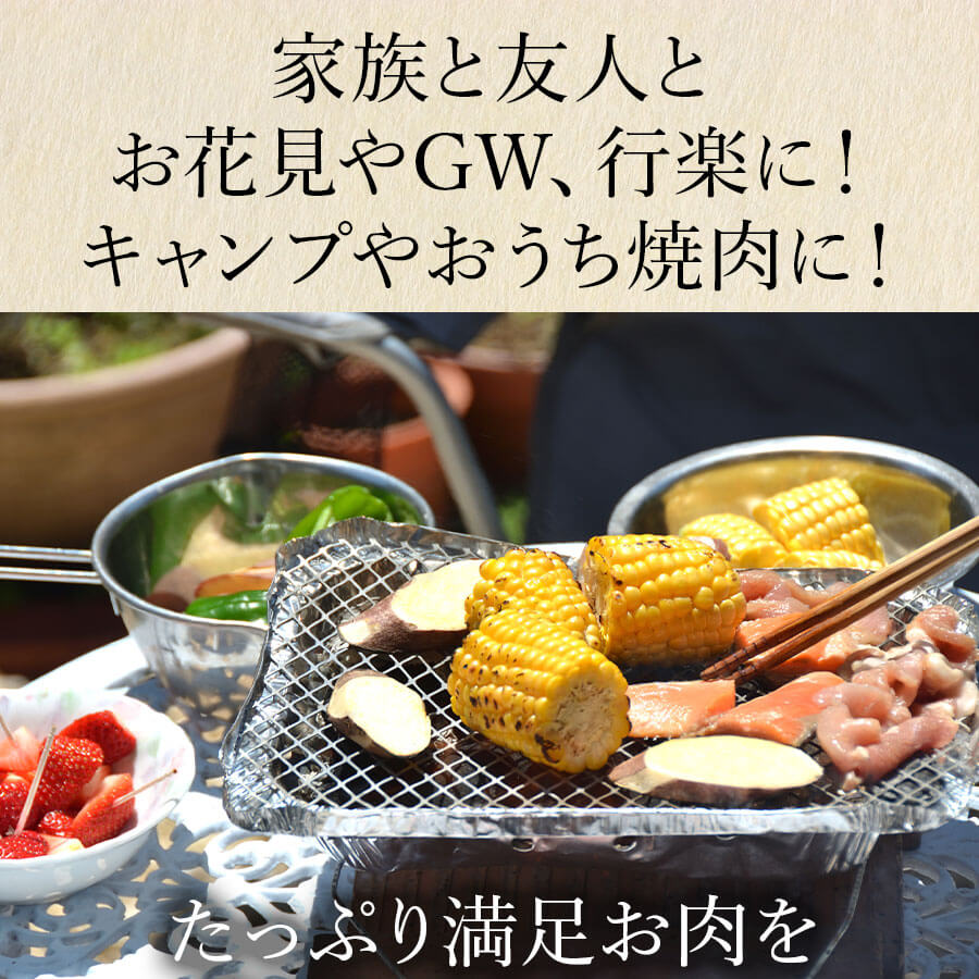 バーベキューFセット