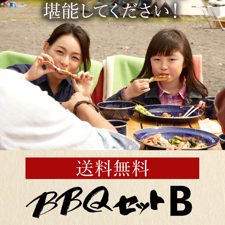 バーベキュー Bセット