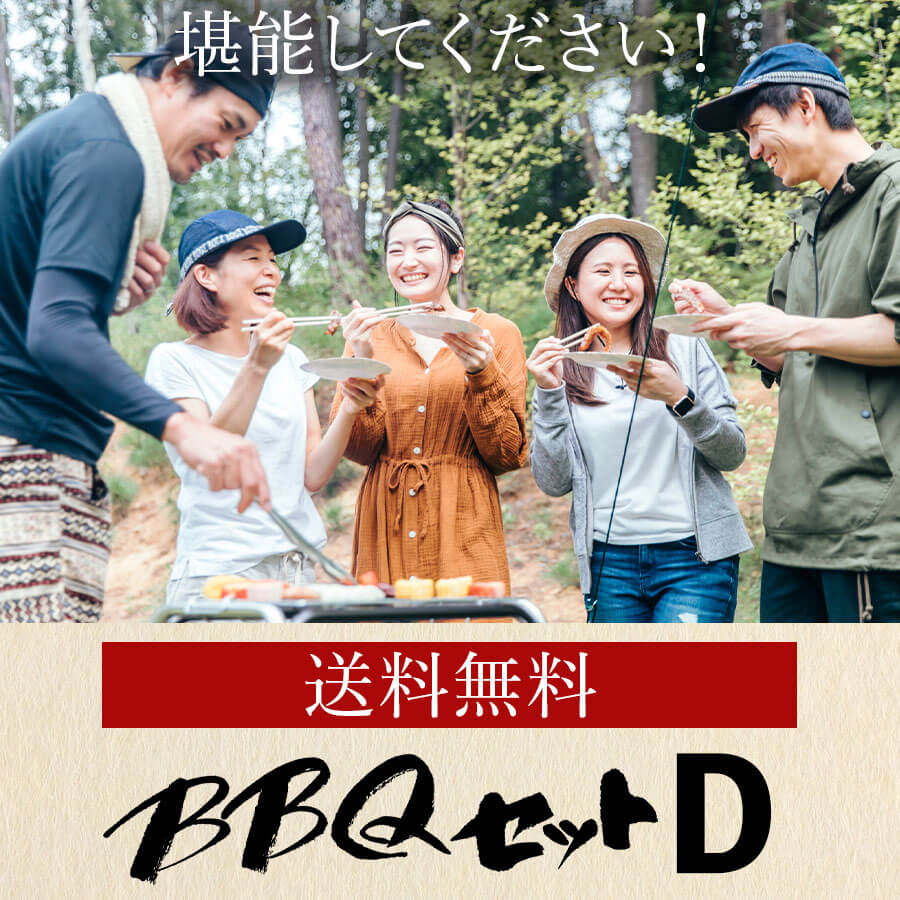 バーベキューDセット