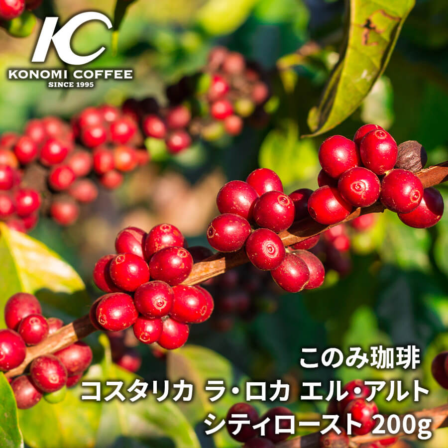 このみ珈琲